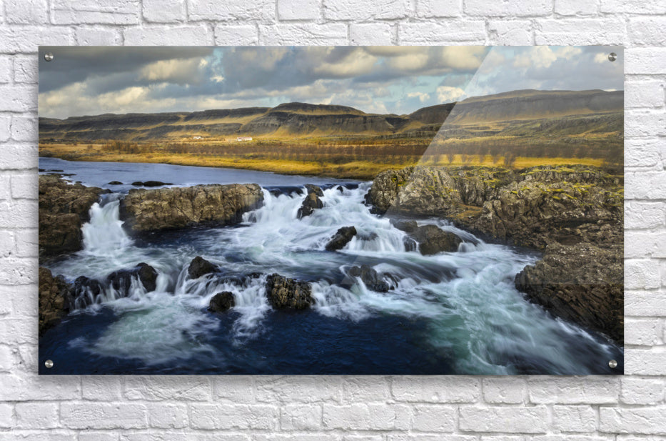 Acrylic Print