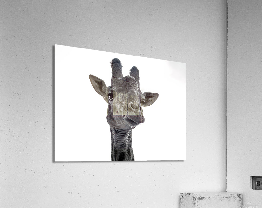 Acrylic Print