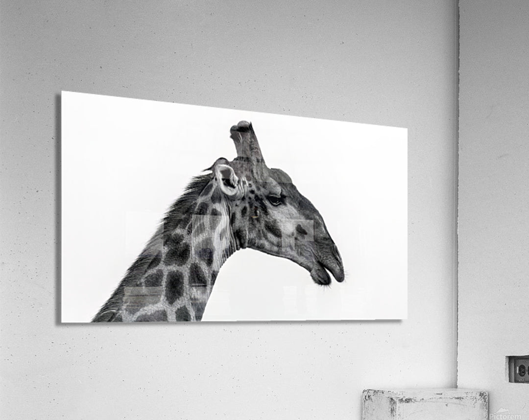 Acrylic Print